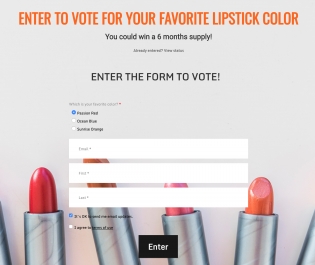 Enter to Vote Giveaway